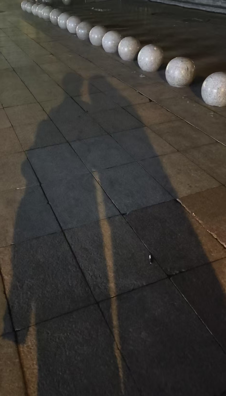 照片2